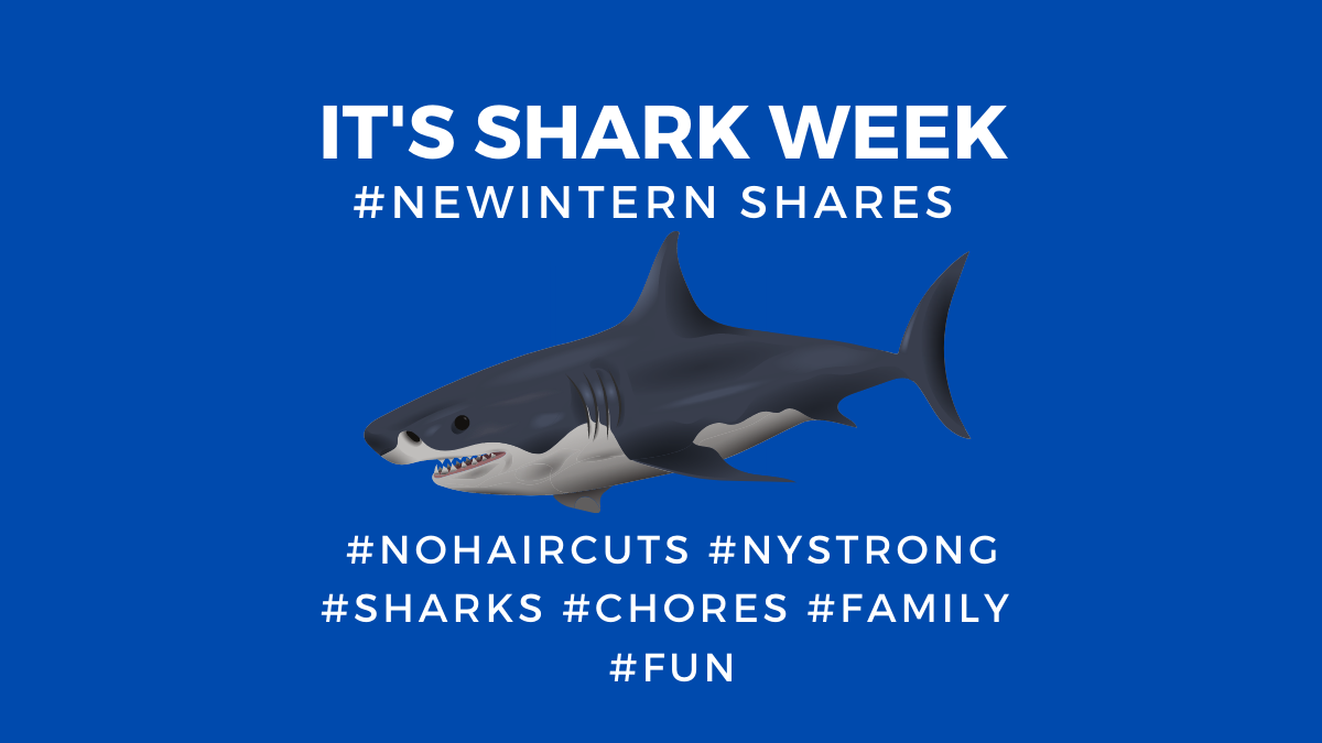 #NEWINTERN DECLARES IT SHARKWEEK AT KIRATED COMMUNICATIONS