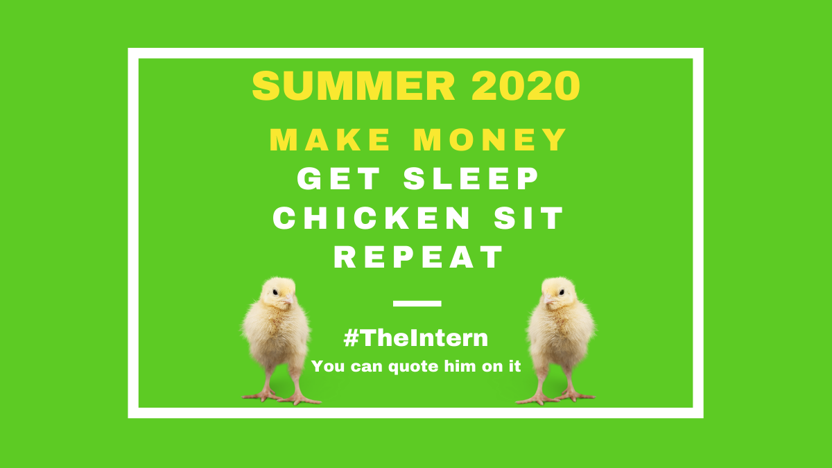 It's time to make some money...Experienced Chicken sitter #theintern skips naps to make money Summer 2020 At KIRated Communications our mantra is #MIH Make it Happen. At Kirated we offer unique, bespoke, and creative ideas to get business growth on track.